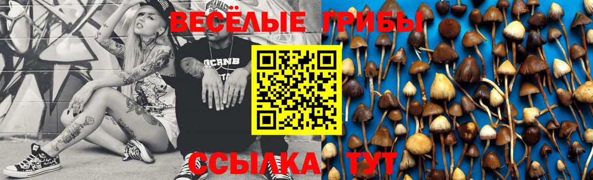 где купить наркоту  Галлюциногенные грибы GOLDEN TEACHER  Галлюциногенные грибы мухоморы  Вход с VPN  Людиново 